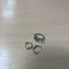 イヤリング zilver がiLostで DoubleTree by Hilton Rotterdam Centre によって報告されました