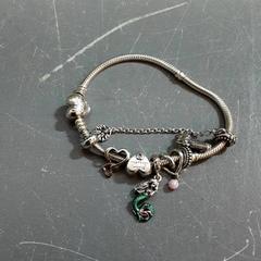 Bracelet, a été signalé par Diergaarde Blijdorp utilisant iLost
