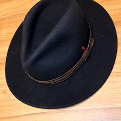 Hatt, som rapportert av Qbuzz DMG ved bruk av iLost