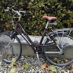 Batavus Jakima damesfiets (stond niet op slot), segons s'ha informat a iLost