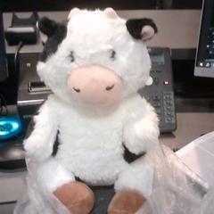 İLost kullanarak SnowWorld Landgraaf tarafından bildirildiği gibi Sevimli oyuncak