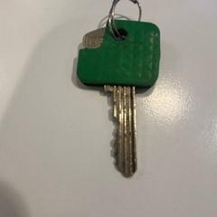 Klucz Groen hoesje, zgłoszono przez Gemeente Meierijstad przy użyciu iLost