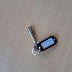 Clef PORTE CLEF NOIR PALSTIQUE, zoals gemeld door TCL met iLost