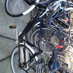 Bicicleta de senhora Union Zwart, como reportado por Stadswerk072 utilizando o iLost