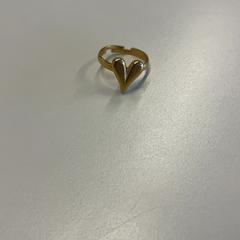 Anillo, ha sido reportado por Gemeente Wijk bij Duurstede con iLost