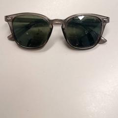 Óculos de sol, como reportado por Burgers' Zoo utilizando o iLost