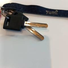 鍵 がiLostで Arriva Limburg Zuid によって報告されました