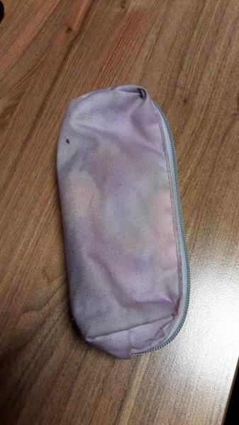 Case