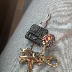 Peugeot Autosleutel, come riportato a iLost