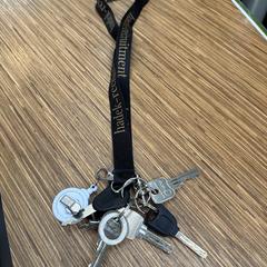 Sleutelbos, ako bolo nahlásené iLost