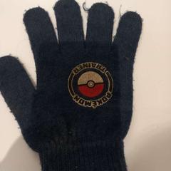 Glove hansc, as reported by Arriva Limburg Zuid using iLost