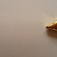 2 gouden of goudkleurige armbandjes, jak bylo nahlášeno na iLost
