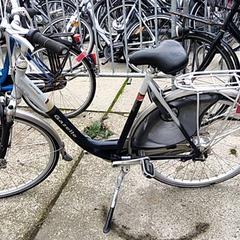 Bicicleta gazelle, como reportado por Stadswerk072 utilizando o iLost