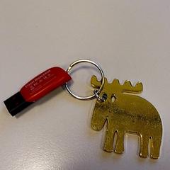 Usb sticks Rood، كما تم الإبلاغ عنه بواسطة Vrije Universiteit Amsterdam عبر iLost