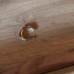 Fülbevaló, amint azt Attractie- & Vakantiepark Slagharen az iLost segítségével jelentette.