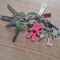 Key, as reported by Transdev Hoeksche Waard Goeree Overflakkee using iLost