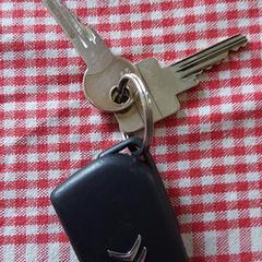 sleutelbosje met autosleutel, segons s'ha informat a iLost
