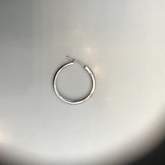 Zilveren oorbel/silver earring, as reported by Rijksmuseum using iLost