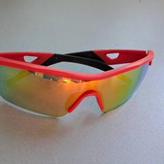 Sunglasses, as reported by Madurodam using iLost