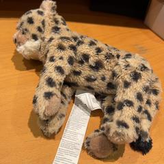 Knuffel, zoals gemeld door Pathé Ede met iLost