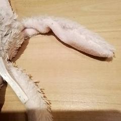 Príslušenstvo & Plyšová hračka, ako bolo nahlásené Beekse Bergen Resorts en Hotel pomocou iLost