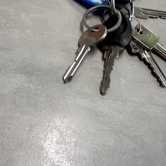 Nøkkelring Zilver, som rapportert av Arriva Friesland / Groningen ved bruk av iLost