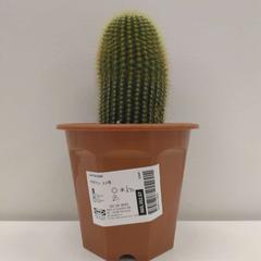 منتج ايكيا، كما تم الإبلاغ عنه بواسطة IKEA Tokyo-Bay عبر iLost