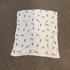Wipe, as reported by Burgers' Zoo using iLost
