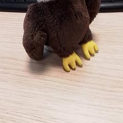 Knuffel bruin, zoals gemeld door Qbuzz Fryslân met iLost