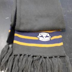 Schal, gemeldet von Qbuzz servicepunt  Emmen über iLost