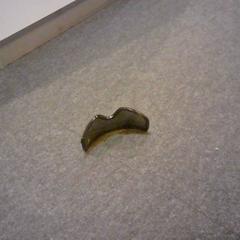 Extra lens skibril, amint azt SnowWorld Landgraaf az iLost segítségével jelentette.