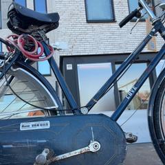 여성용 자전거, iLost를 사용하여 Fietsdepot Diepenbeek에 보고됨