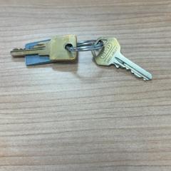 Keys, as reported by Connexxion Amstelland-Meerlanden Schiphol Noord using iLost