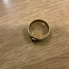 Ringa, rapporterat av Gemeente Alkmaar med iLost