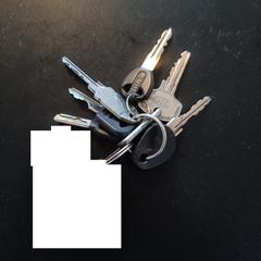 Sleutelbos, iLost-i jakinarazi zaion moduan