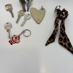 Sleutel sleutels sleutelbos Wageningen an iLost gemeldet