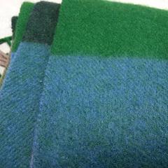 Shawl Groen ,paars  en beige., as reported by Arriva Friesland / Groningen using iLost