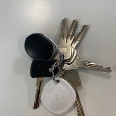 Giltza-giltza met witte finder, gisa salatu by Gemeente Ede iLost erabiliz