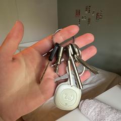 sleutel bos, amint azt az iLostnak jelentették.