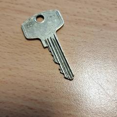 집 열쇠, iLost를 사용하여 Gemeente Roermond에 보고됨