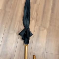 우산, iLost를 사용하여 Arriva Limburg Zuid에 보고됨