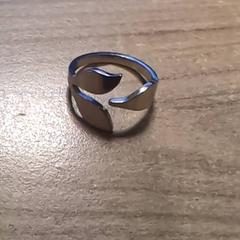 Ring, as reported by Pathé Zwolle using iLost