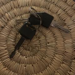 Sleutel bos, como reportado ao iLost