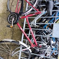 Damenrad comanche, gemeldet von Stadswerk072 über iLost