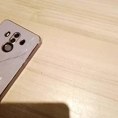 Telefon, amint azt Beekse Bergen Resorts en Hotel az iLost segítségével jelentette.