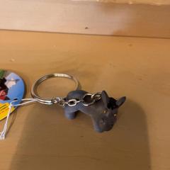 Chaveiro, segundo informou Familie Resort Molenwaard usando iLost