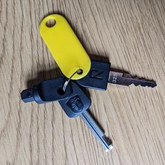 Keys / sleutels, segons s'ha informat a iLost
