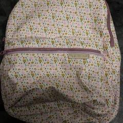 Ryggsäck, rapporterat av Arriva Friesland / Groningen med iLost