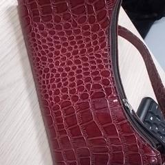 Tasche Finadorina, gemeldet von Qbuzz Fryslân über iLost