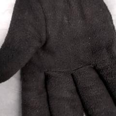 Guants Zwart fleece, segons ha informat Arriva Friesland / Groningen mitjançant iLost